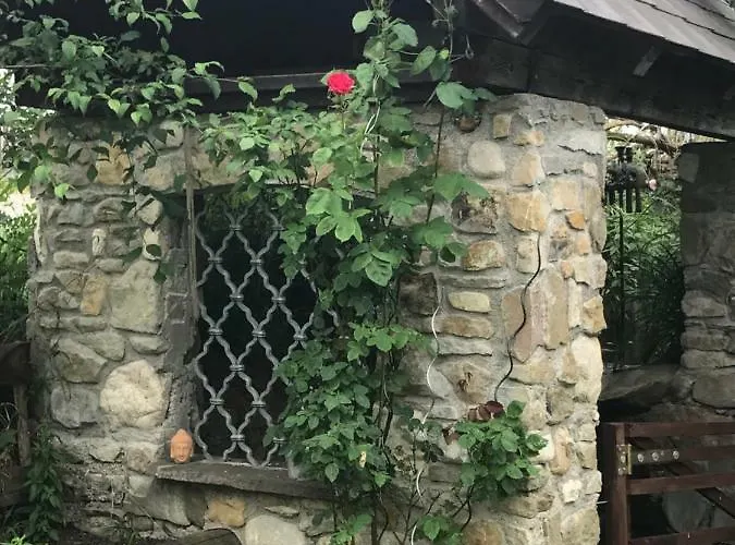 Traunseeferien Daire Altmünster