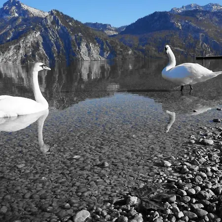 شقة Traunseeferien *