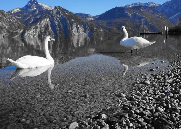 شقة Traunseeferien *